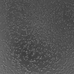 3HA1_4 (1)