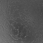 5H1_4 (2)