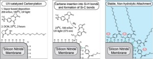 carbenylation