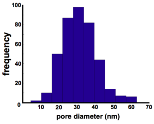example_of_pore_distribution