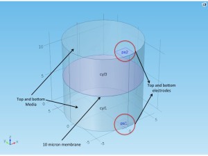 model schematic