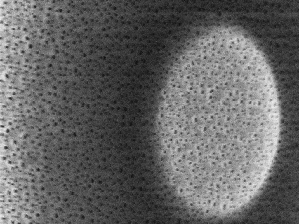 Ozone_bonded_air_clamp23