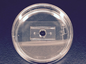 [photo] open static system
