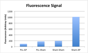 FDP-AP Fluorescence