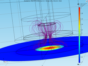 24 well transwell with streamlines 1