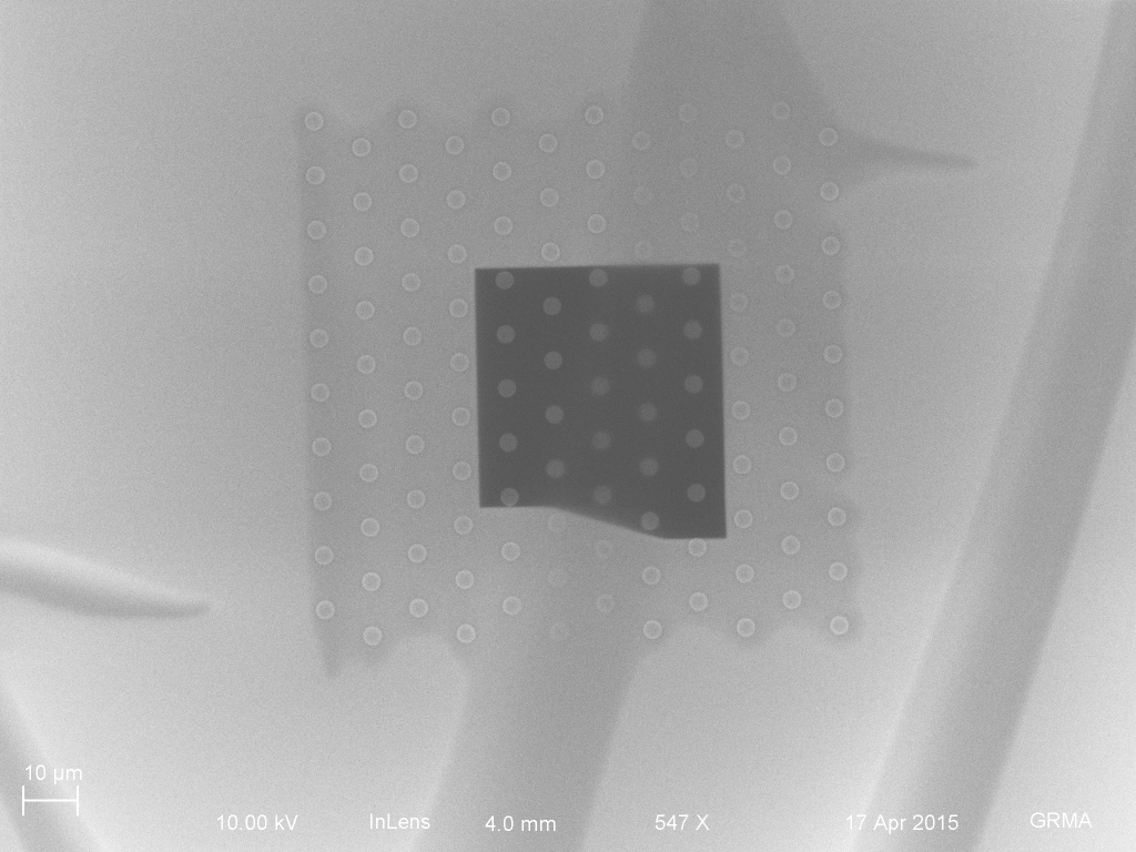 The posts appear to be suspending the nanomembrane everywhere. The defocused posts are a result of the nanomembrane wrinkling and not making contact with the posts in that area.
