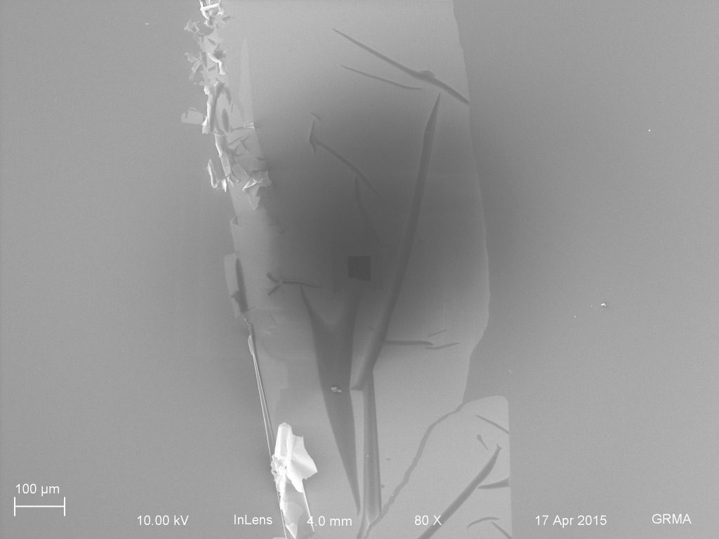 Macroscopic View. Wrinkle is passing through the active area.