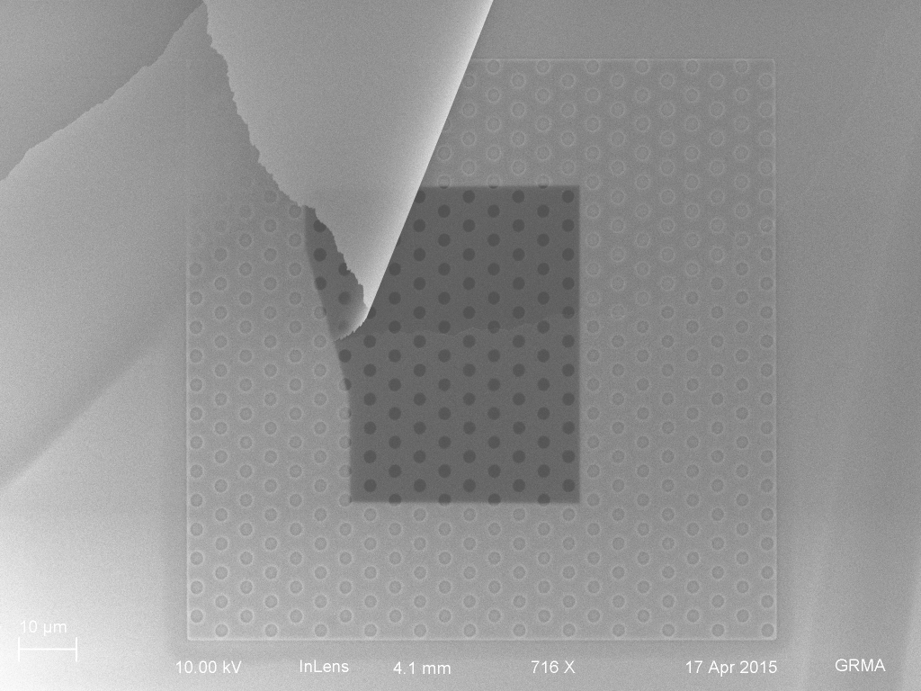 I was fortunate to get a tear in the central part of the membrane, allowing comparison between tented and non tented holes.