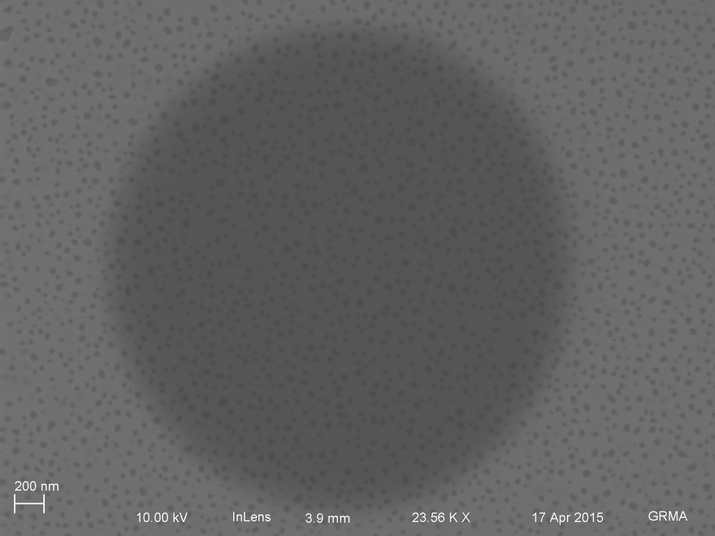 Many nanopores are present in each well.