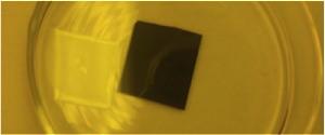 post_floatingmembrane