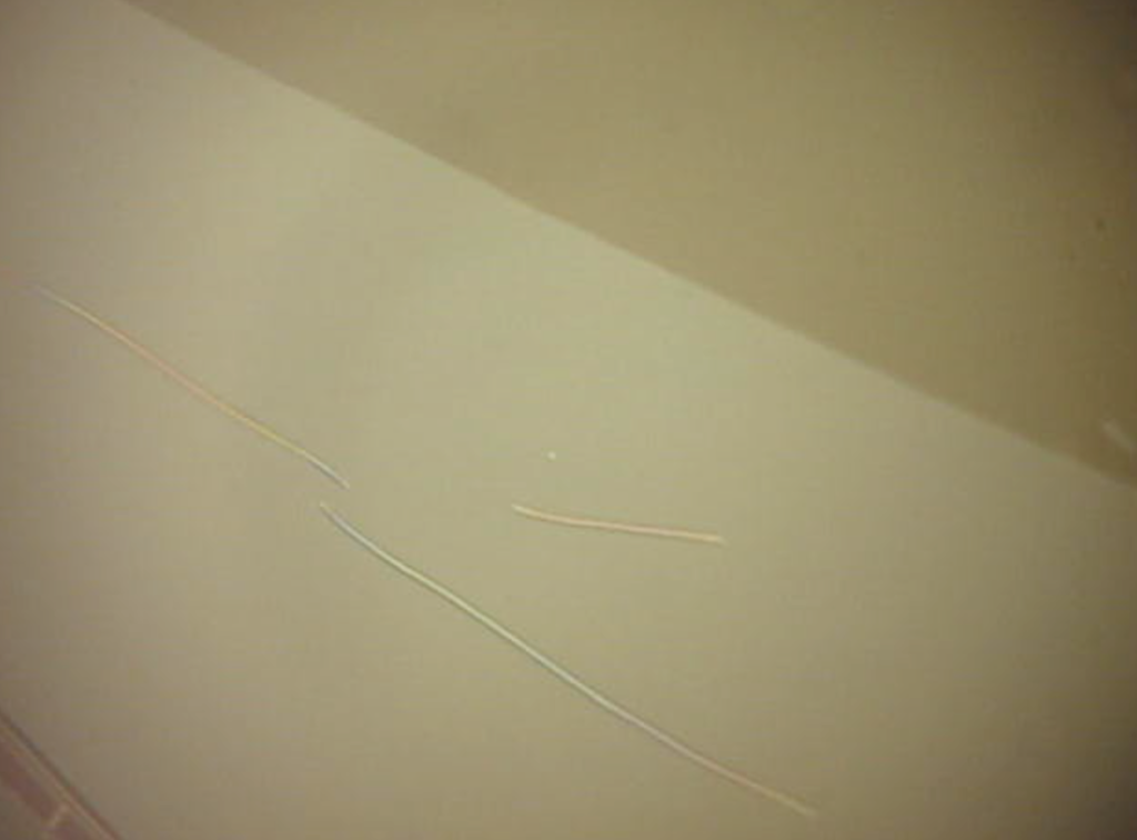 Post DI immersion overnight, dried