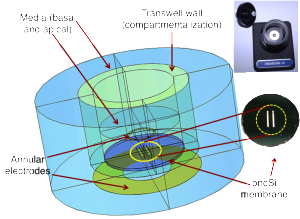 annotated comsol model