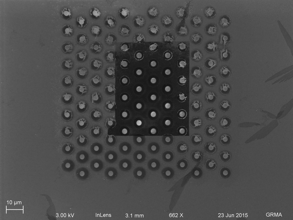 Oxide patterned region with tented membrane over posts. The tented region consists of rings around each post. Some of the rings have an interesting high contrast pattern on them.