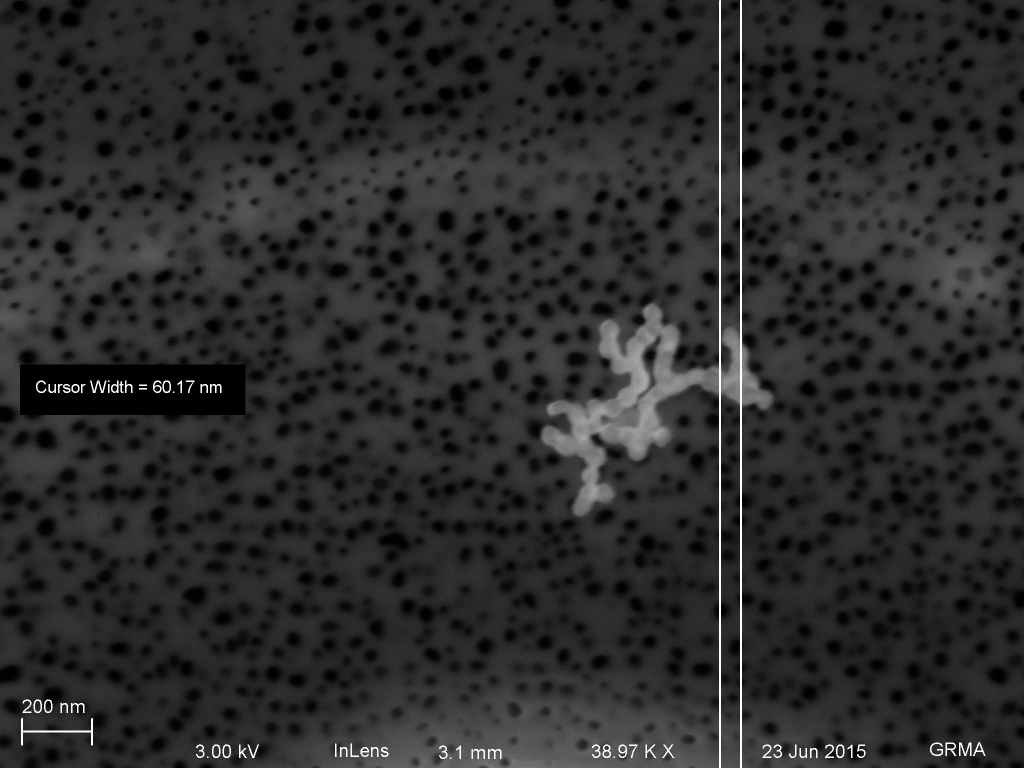 There are many holes, but no single 60 nm Au particle could fit through any of them.