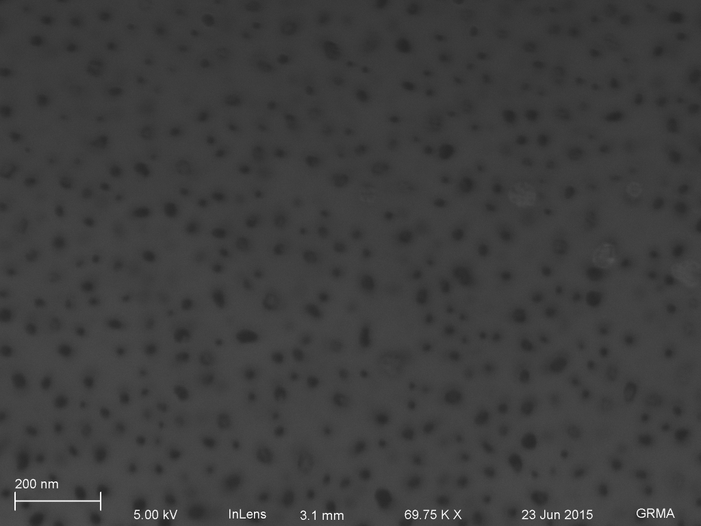 Magnified view of this pillar with large nanoparticles on top of the tent, and smaller ones occupying the holes.