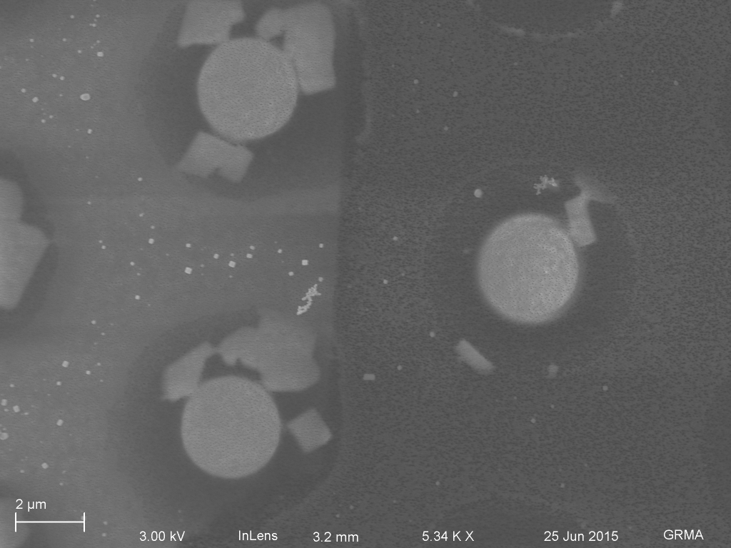 Large scale particulates (60 nm aggregate) are mostly in place)