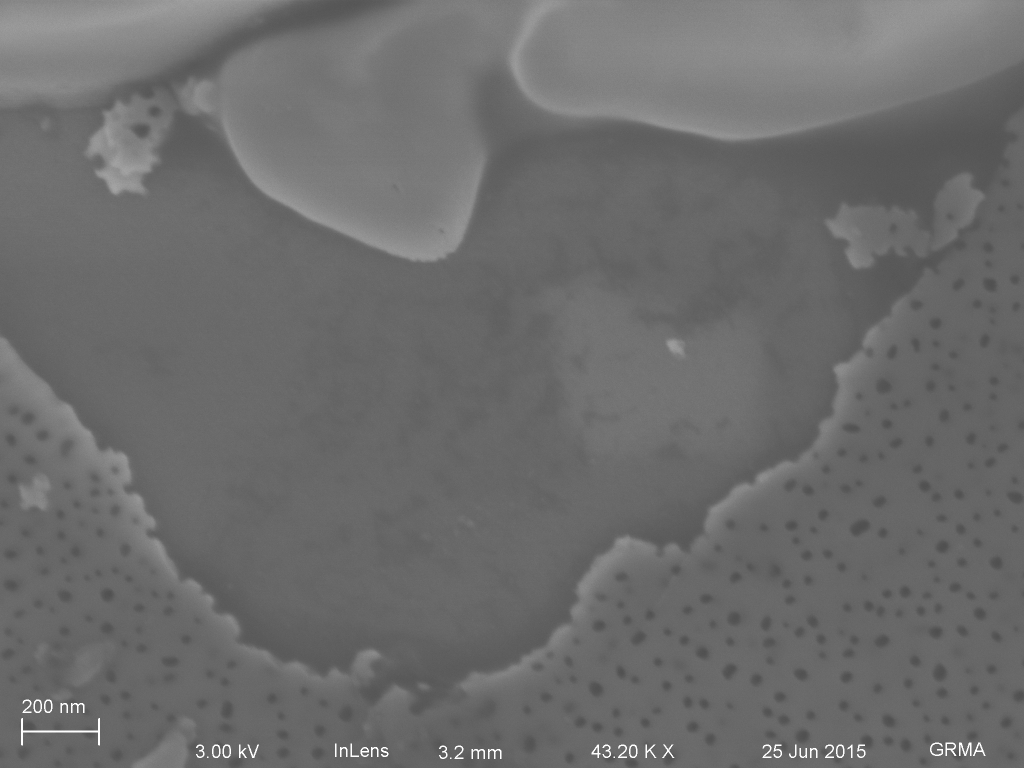 Broken area near post, which would have been under tent. Nanoparticles near bottom part of image
