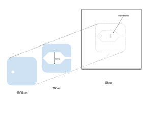 ShearCell