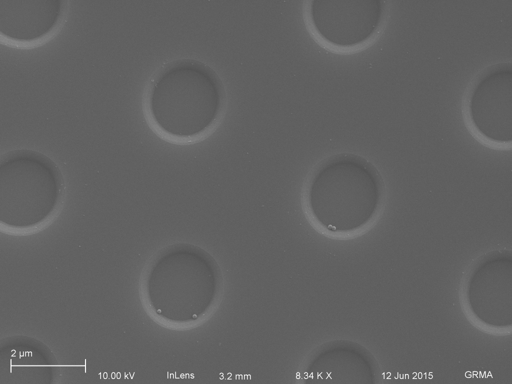 nanoporous+pt_10