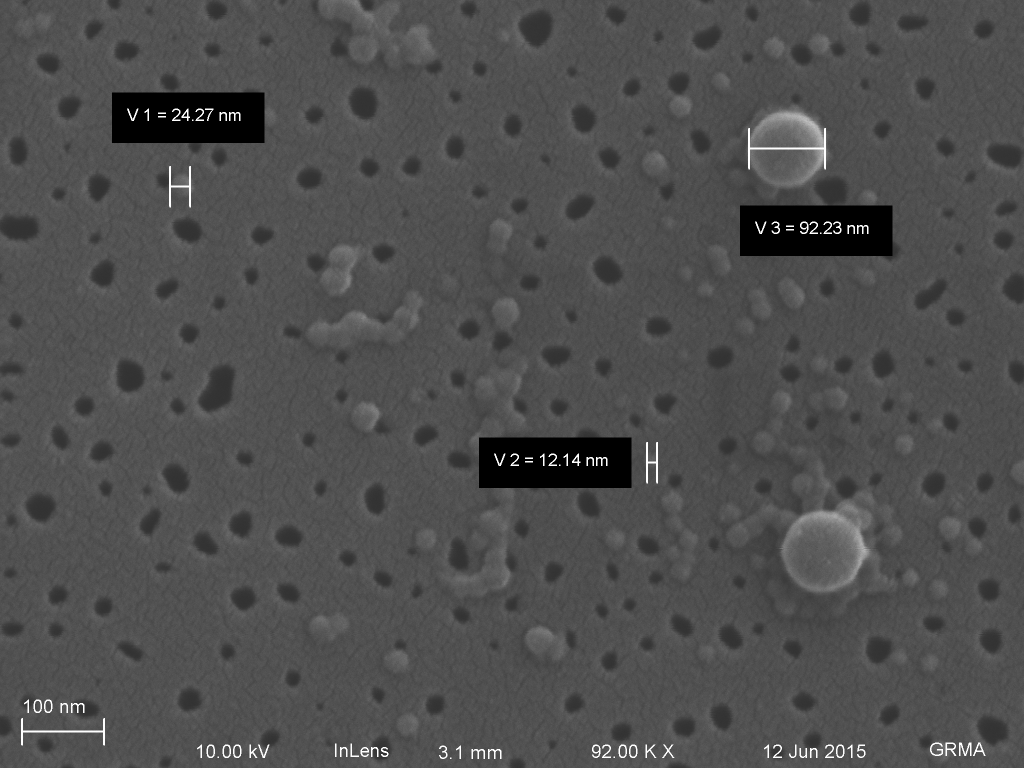 nanoporous+pt_80