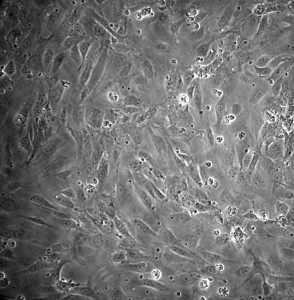 null_day4_post_wash