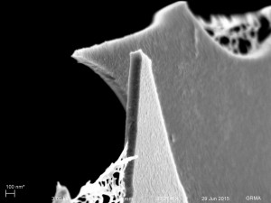 microGnull_cross_sect_zoomed