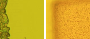 t2