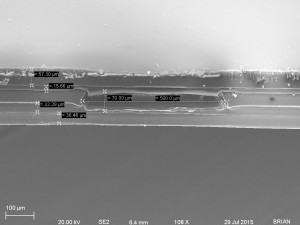CROSS SECTION PETL