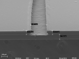 CROSS SECTION PETL 4M
