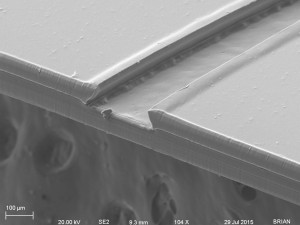 CROSS SECTION PETL 5