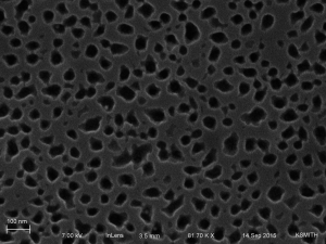 9-14-15 03 alumina chips01