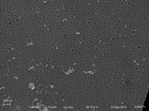 9-14-15 06 alumina chips11