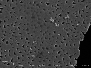9-14-15 06 alumina chips12