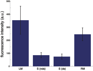 BSA_PEG1000_data