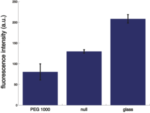 BSA_comparisons