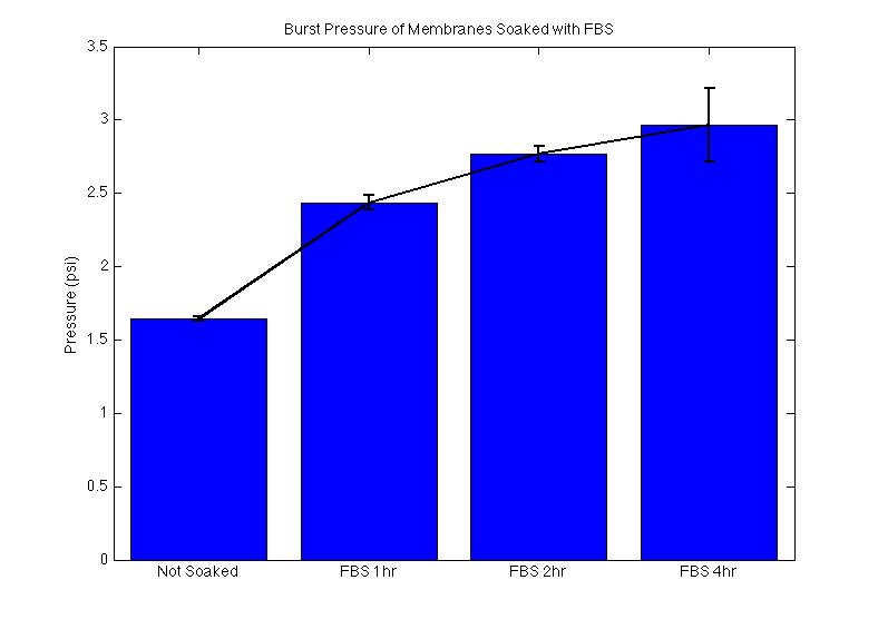 FBS bp