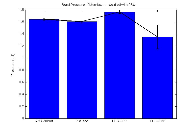 PBS bp