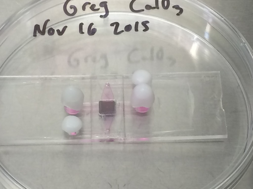 Curing at a higher temperature causes the iBidi plastic to deform. I was initially concerned about the thermal penetration to cure the film, but there is not a lot of PDMS volume, so it doesn't matter for our purposes.