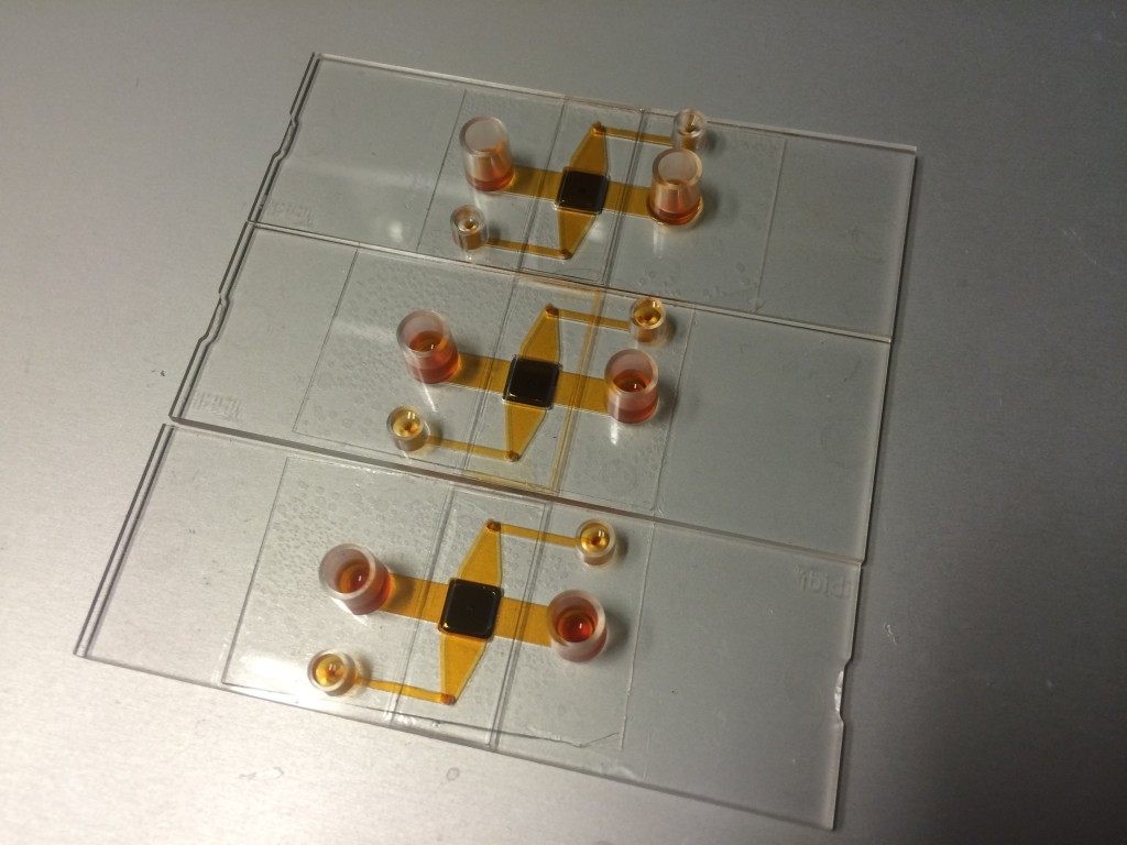 Fabricated spincoated devices. Bubbles are present even though previously degassed, due to spin coating (it's a wonderful aerator). This property can be compensated by spin coating thicker layers, or lowering the viscosity of the PDMS and spinning slower. The middle device is leaking from the top coverslip (pdms applied manually), but the other two devices are sealed well.