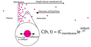 diffusion