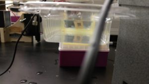 20160418_214905