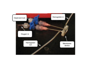 ECMO Membrane Device