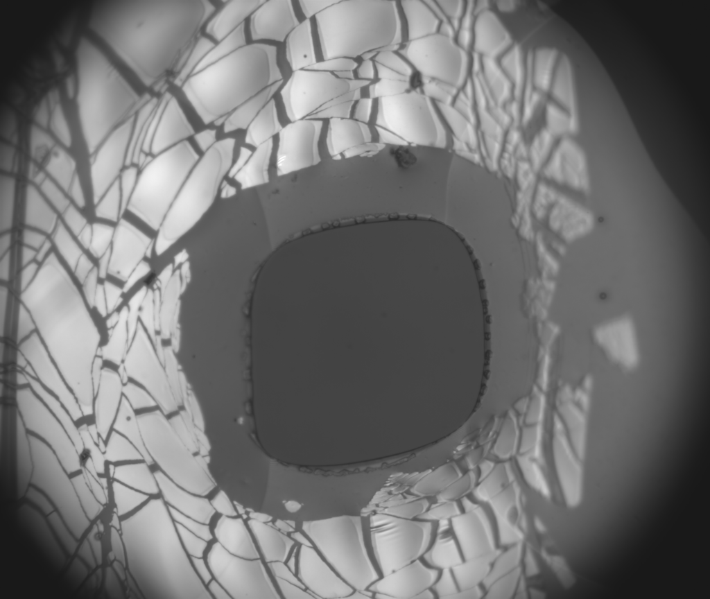 PDMS-NPN