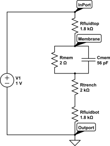 Ussing Chamber Equivalent Circuit