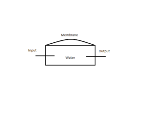Model for my capacitor, which contain only the membrane as a damping element.