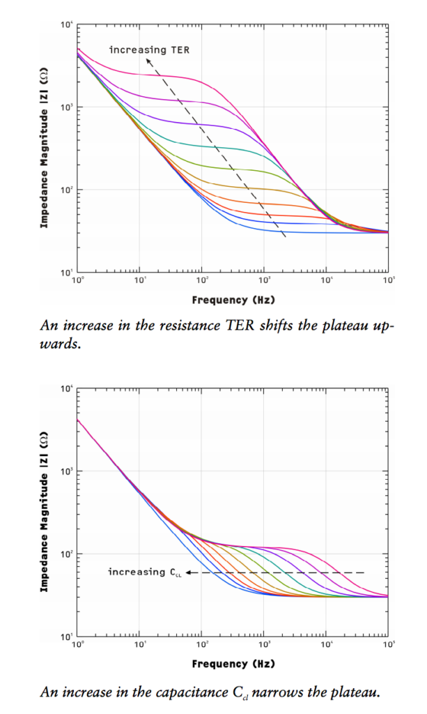 As we change different parts of the model, the curve shifts. We would read changes in a cultured cell layer by measuring these shifts.