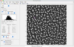 pore size histogram