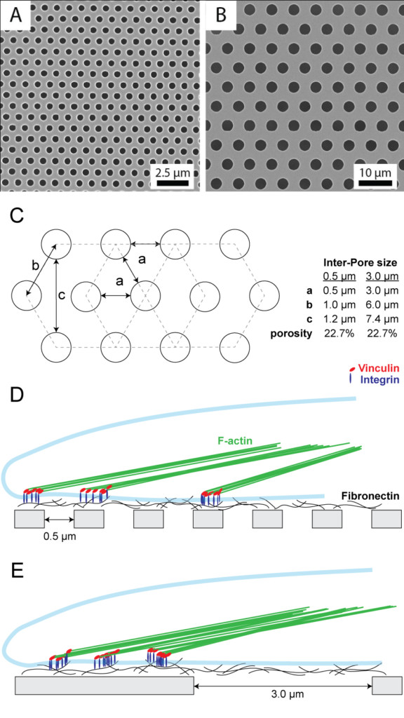 Fig1-Schematic