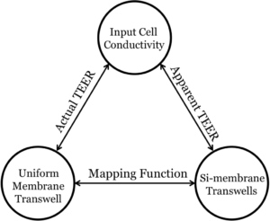 mappingschematic