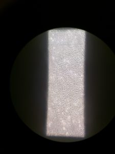img_20160831_173915